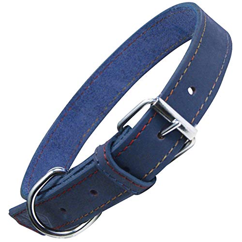 GLORIA Collar Oasis 55cm x 25mm Negro