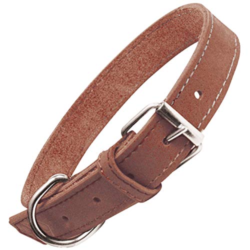 GLORIA Collar Oasis 55cm x 25mm Negro