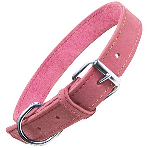 GLORIA Collar Oasis 55cm x 25mm Negro