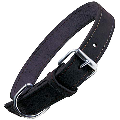 GLORIA Collar Oasis 55cm x 25mm Negro