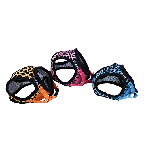 GLORIA PETRAL Puntos S Cuello 21-29CM Pecho 25-33CM Rosa