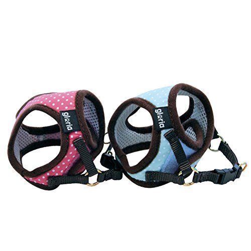GLORIA PETRAL Puntos S Cuello 21-29CM Pecho 25-33CM Rosa