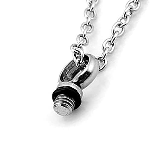 Gobutevphver Joyería de cremación Conmemorativa Collar de Cenizas de urna de Recuerdo de Mascota con Personalidad Europea y Americana en Forma de corazón para Perro Gato - Rosa