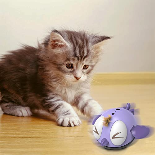 Gonglang Juguete eléctrico para Pollitos con Sonido, Juguete Interactivo para Gatos, Juguetes Musicales para Mascotas, Juguetes Inteligentes Inteligentes de inducción con Interfaz USB
