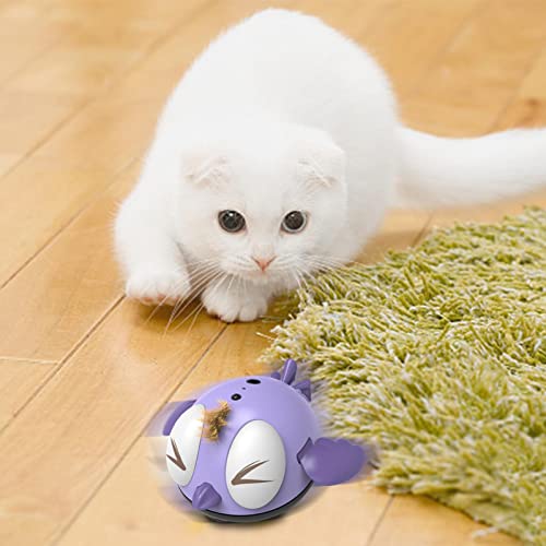 Gonglang Juguete eléctrico para Pollitos con Sonido, Juguete Interactivo para Gatos, Juguetes Musicales para Mascotas, Juguetes Inteligentes Inteligentes de inducción con Interfaz USB