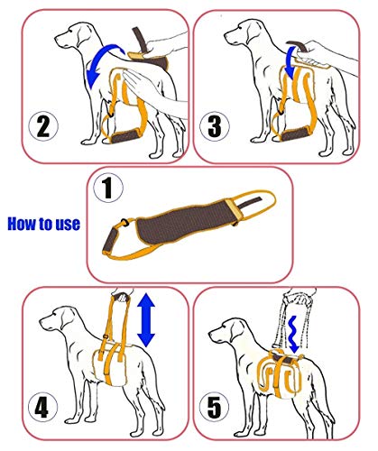 GOOCO Arnés de elevación para Perros, arnés de elevación para Mascotas, Ayuda a la rehabilitación, asa Acolchada, Forro de Esponja para caninos para Subir escaleras, Llegar al Coche, Ayuda a Caminar