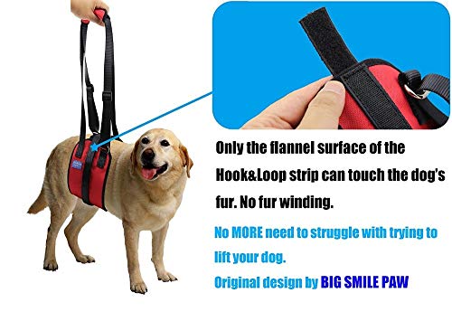 GOOCO Arnés de elevación para Perros, arnés de elevación para Mascotas, Ayuda a la rehabilitación, asa Acolchada, Forro de Esponja para caninos para Subir escaleras, Llegar al Coche, Ayuda a Caminar
