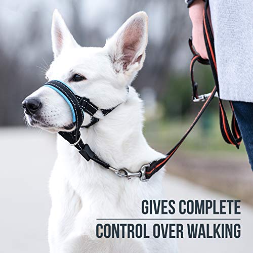 GoodBoy Cabestro de cabeza de perro con correa de seguridad - detiene el tirón pesado de la correa - cabeza acolchada para perros pequeños, guía de entrenamiento incluida (talla 3, azul)