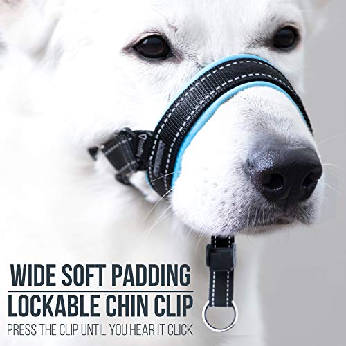 GoodBoy Cabestro de cabeza de perro con correa de seguridad - detiene el tirón pesado de la correa - cabeza acolchada para perros pequeños, guía de entrenamiento incluida (talla 3, azul)