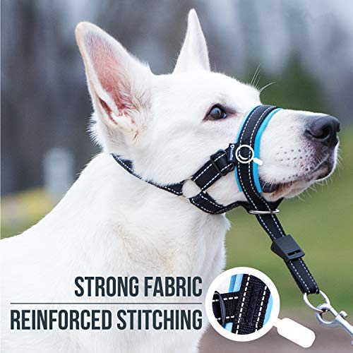 GoodBoy Cabestro de cabeza de perro con correa de seguridad - detiene el tirón pesado de la correa - cabeza acolchada para perros pequeños, guía de entrenamiento incluida (talla 3, azul)