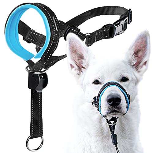 GoodBoy Cabestro de cabeza de perro con correa de seguridad - detiene el tirón pesado de la correa - cabeza acolchada para perros pequeños, guía de entrenamiento incluida (talla 3, azul)