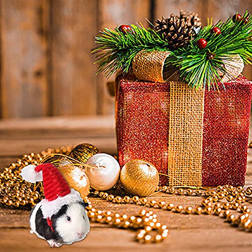 Gorro navideño para Gato, Gorro navideño para Mascotas, Gorro navideño para Gato, Gorro navideño para Gato, Disfraz de Conejillo de Indias, Pelo para Mascotas, Gorro de Papá Noel para Mascotas