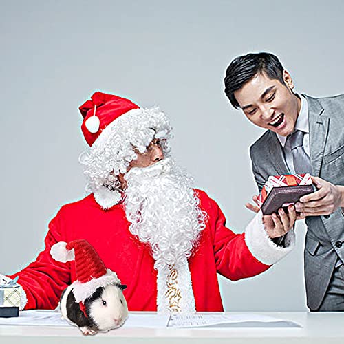 Gorro navideño para Gato, Gorro navideño para Mascotas, Gorro navideño para Gato, Gorro navideño para Gato, Disfraz de Conejillo de Indias, Pelo para Mascotas, Gorro de Papá Noel para Mascotas