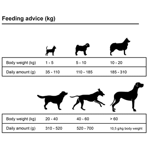 GOTOTOP 15kg Alimento Seco para Perros Adultos Pollo Y Ternera Rico en Prebióticos Fácilmente Digerible Nutrientes Equilibrados
