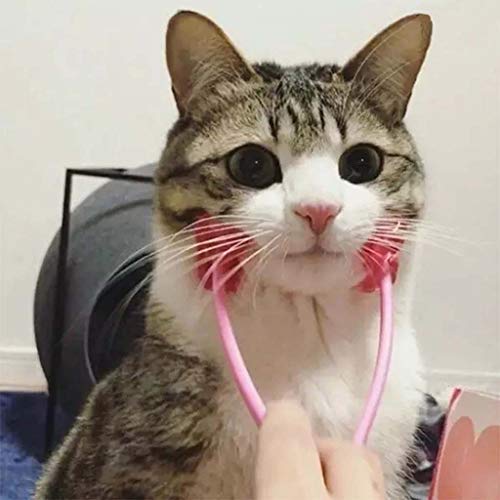 gqdlzgnyLL Masajeador multifunción de Cara Fina para Gatos, masajeador Interactivo para pies, masajeador de piernas