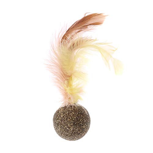 gqdlzgnyLL Naturaleza Gatito Gato Característica Juguete Dientes Limpieza Gato Bola de Hierba gatera Accesorios para Mascotas