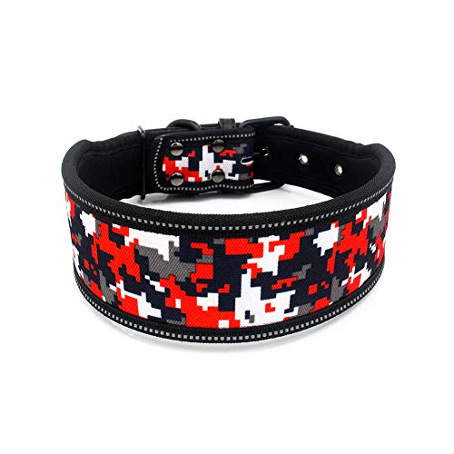 Gqiu Collar Reflectante para Perros Correa poliéster Ligero Acolchado Nylon Suave Cuello Transpirable Impermeable Seguridad Ajustable Collar para Mascotas para Perros pequeños medianos Grandes