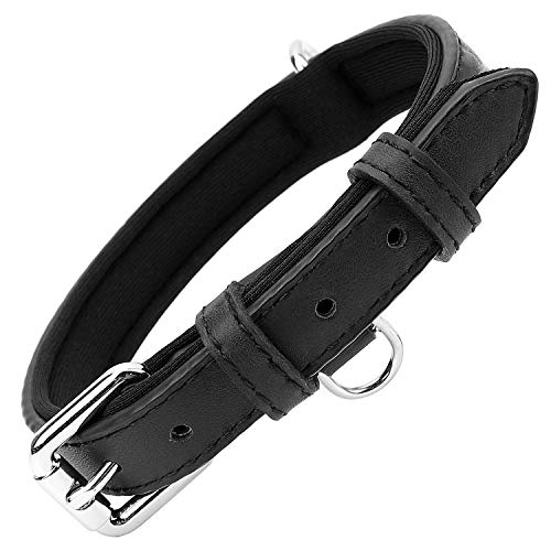 Grand Line Collar de Perro de Cuero Duradero Acolchado Suave con Perforador de Agujeros, Negro(L)