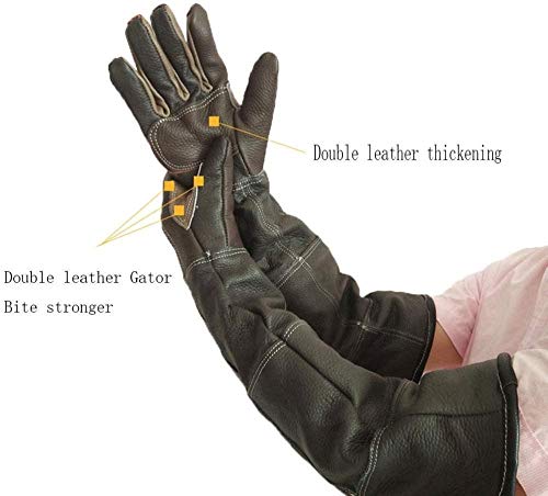 Guantes de Animales de 60 cm para Gatos Perros Loros Serpientes mordidas de Mascotas/Guantes de protección contra arañazos - Guantes para jardinería Pequeño Uptodate