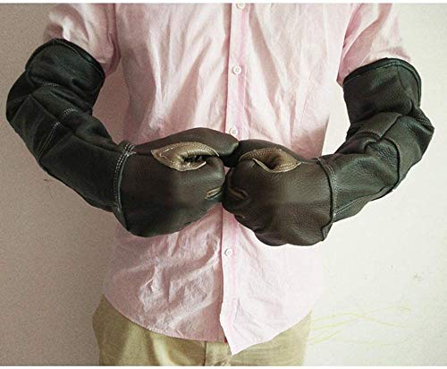 Guantes de Animales de 60 cm para Gatos Perros Loros Serpientes mordidas de Mascotas/Guantes de protección contra arañazos - Guantes para jardinería Pequeño Uptodate