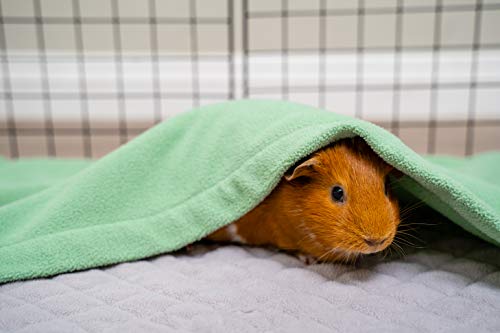 GuineaDad Delineador de Ojos C&C tamaño 2x3, Verde mar | Forros de vellón de Conejillo de Indias | Ropa de Cama de Conejillo de Indias | Manga de Bolsillo de madriguera | Absorbente