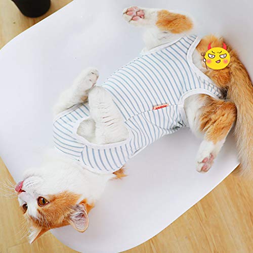 GUOJFEN Traje de recuperación para Gatos Cuidado de esterilización Mascota Gatito Anti mordedura Prevención de lamidas después de la cirugía Vestir Chaleco de Verano