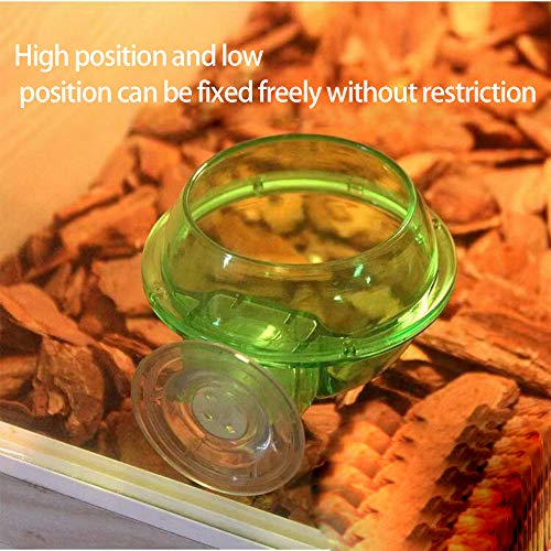 GYZD Tazón Reptil De Comida para Reptiles, Tazón De Comida para Reptiles De Succión, Tazón De Camaleón, Contenedor De Comida para Gusanos Vivos, Animal Doméstico Translúcido