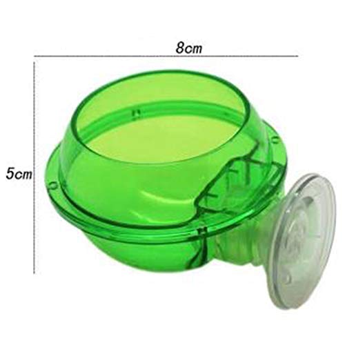 GYZD Tazón Reptil De Comida para Reptiles, Tazón De Comida para Reptiles De Succión, Tazón De Camaleón, Contenedor De Comida para Gusanos Vivos, Animal Doméstico Translúcido