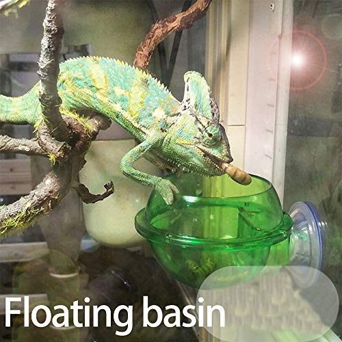 GYZD Tazón Reptil De Comida para Reptiles, Tazón De Comida para Reptiles De Succión, Tazón De Camaleón, Contenedor De Comida para Gusanos Vivos, Animal Doméstico Translúcido