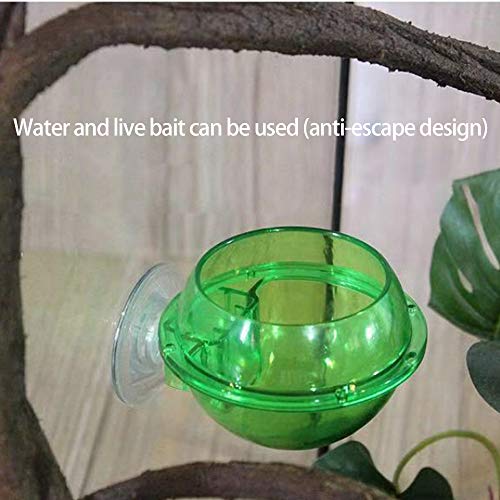 GYZD Tazón Reptil De Comida para Reptiles, Tazón De Comida para Reptiles De Succión, Tazón De Camaleón, Contenedor De Comida para Gusanos Vivos, Animal Doméstico Translúcido