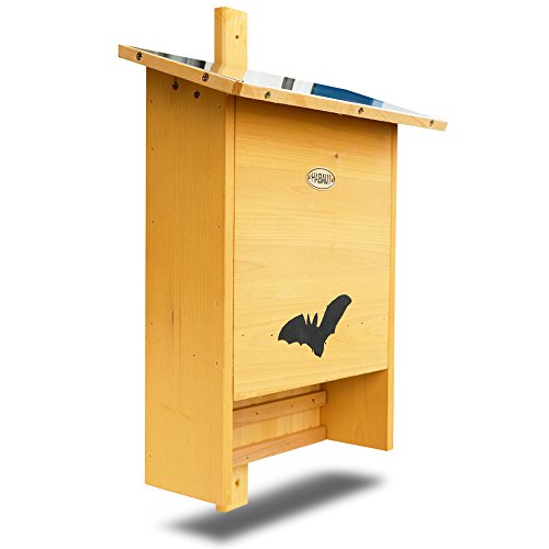 HABAU 3017 Caja para murciélagos