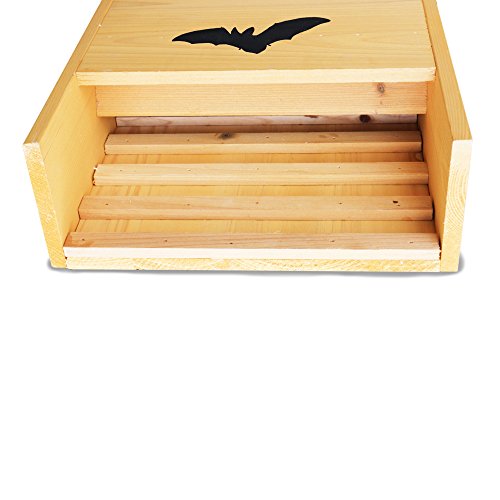 HABAU 3017 Caja para murciélagos