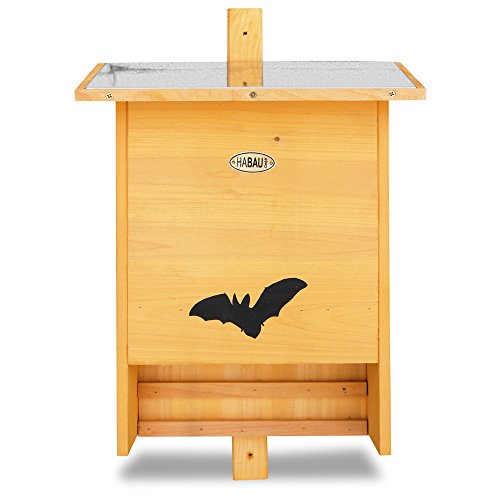 HABAU 3017 Caja para murciélagos
