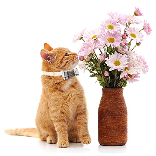 HACRAHO Conjunto de Collar Y Correa para Perro con Pajarita, 3 Uds.Collar de Pajarita Ajustable para Perro Y Juego de Correa de Bandana para Perros, Cachorros Y Gatos Caminando Al Aire Libre, Blanco