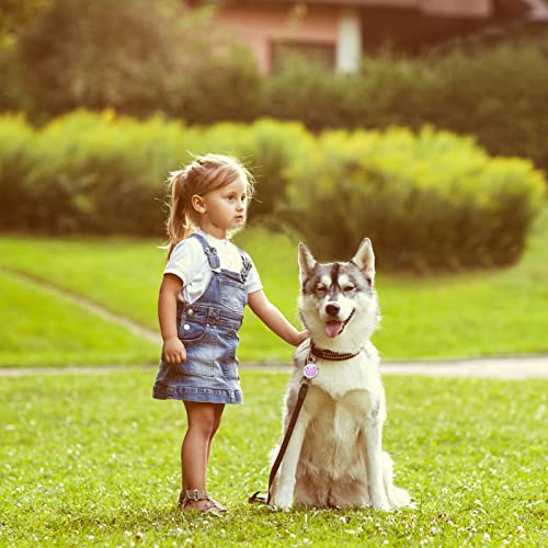 HACRAHO Etiqueta de Identificación de Perro, 20 PCS Corona de impresión Gato Patrones de Etiquetas de Nombre de Mascotas con Anillos de Etiquetas de identificación de Mascotas para Perros y Gatos