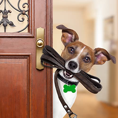 HACRAHO Etiqueta de identificación para mascotas, 20 etiquetas personalizadas para perros y cachorros, color verde