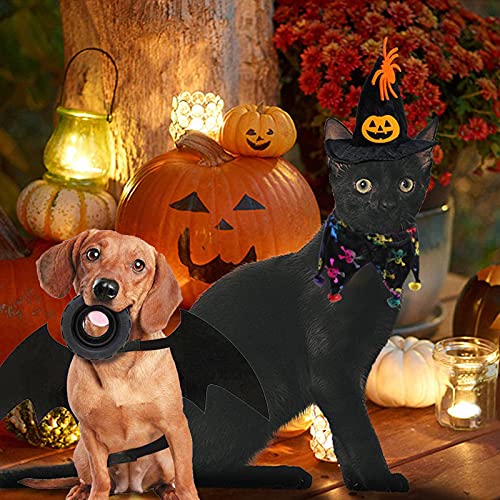 Halloween Pet - Disfraz de alas de calidez, perro gato de animales de compañía, bat Wings con campanas de gato, sombrero de bruja de animales de compañía, Halloween, disfraz de Navidad