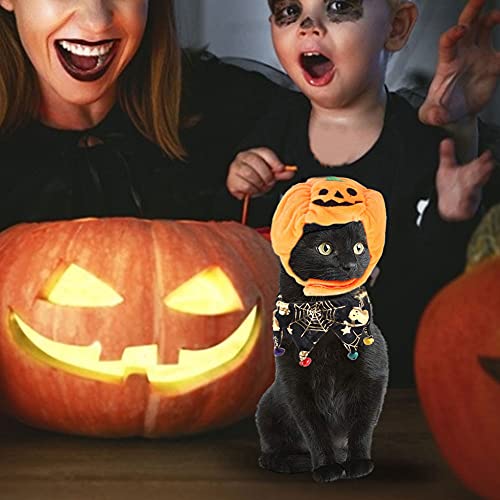 Halloween Pet Pottimkin Hat Hat Pet Funny Headwear Dogs Cats Dress Up Cosplay Disfraz Fiesta Accesorios Accesorios Accesorios Apectorios Apectorios Fites Felines De Adultos Y Pequeños Perros