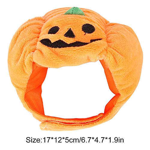 Halloween Pet Pottimkin Hat Hat Pet Funny Headwear Dogs Cats Dress Up Cosplay Disfraz Fiesta Accesorios Accesorios Accesorios Apectorios Apectorios Fites Felines De Adultos Y Pequeños Perros