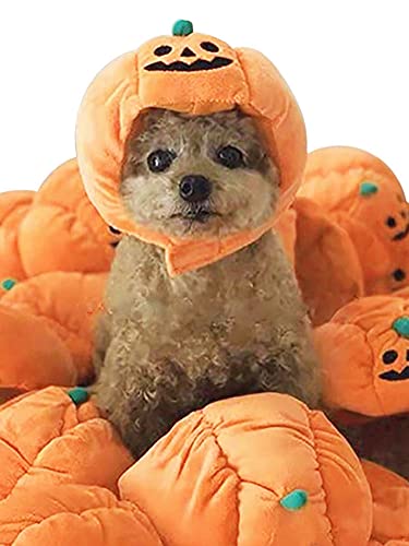 Halloween Pet Pottimkin Hat Hat Pet Funny Headwear Dogs Cats Dress Up Cosplay Disfraz Fiesta Accesorios Accesorios Accesorios Apectorios Apectorios Fites Felines De Adultos Y Pequeños Perros