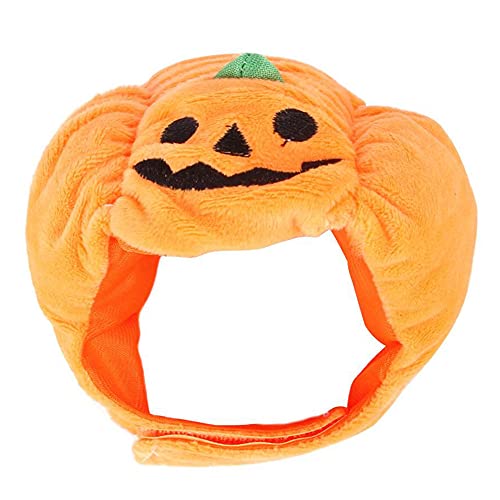 Halloween Pet Pottimkin Hat Hat Pet Funny Headwear Dogs Cats Dress Up Cosplay Disfraz Fiesta Accesorios Accesorios Accesorios Apectorios Apectorios Fites Felines De Adultos Y Pequeños Perros