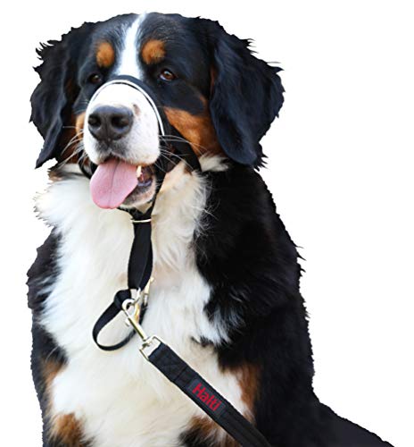 Halti Headcollar