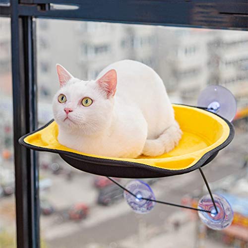 Hamaca de gato Ventana del gato del gato Ventana Hamaca Hamaca Montada de cama de gato del gato cama colgante con Heavy Duty ventosas, disponible en todas las estaciones, azul Hamaca para mascotas