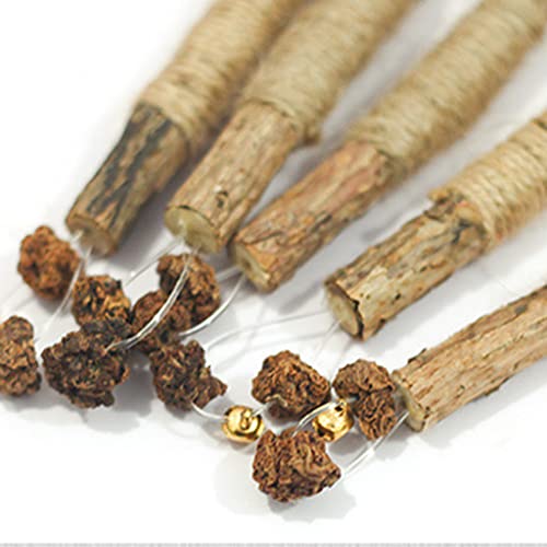 HANBOLI Juguetes para gatos, paquete de 5 juguetes para gatos Silvervine Sticks Limpieza de dientes Interactivo Masticar Juguete para interiores Gatos Gatito Dentición Stick para todas las edades