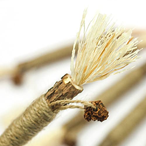 HANBOLI Juguetes para gatos, paquete de 5 juguetes para gatos Silvervine Sticks Limpieza de dientes Interactivo Masticar Juguete para interiores Gatos Gatito Dentición Stick para todas las edades