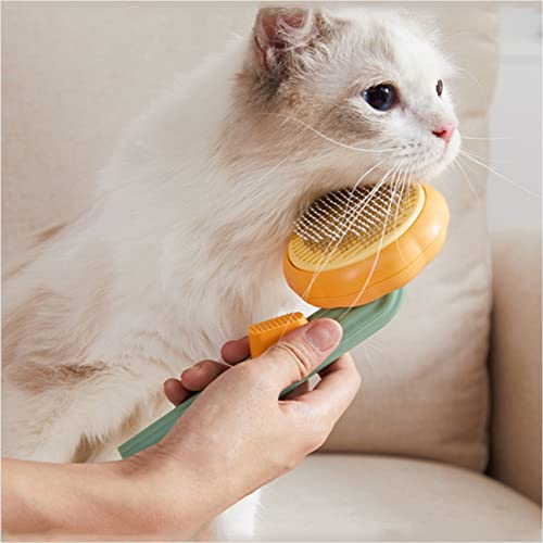 Haoo Suministros para mascotas peine para ir peine de pelo flotante con un solo clic dehair gato cepillo perro pelo largo y corto auto-limpieza peine anudado peine (blanco)