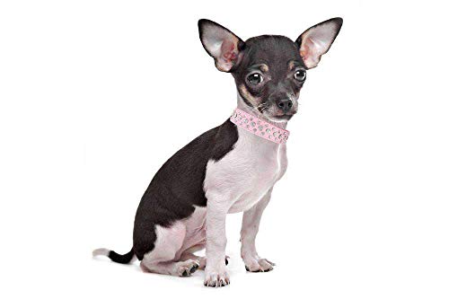 haoyueer Bling Rhinestone PU cuero cristal diamante mascota perro gato cachorro collar negro S M L XL … (L, rojo)