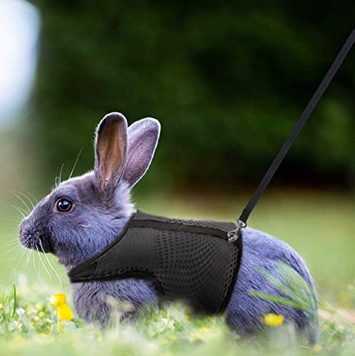 HAPPY HACHI Arnés Conejos con Correa Elástica, Arnes Cobaya Hámsteres Conejo Enano Belier para Animales Gatos Pequeños(L, Negro)