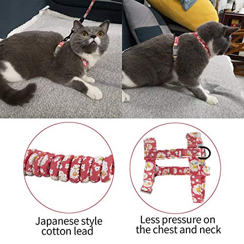 HAPPY HACHI Arnes Gato Pequeño con Correa Nylon Chaleco Perros Ajustable Prueba de Antiescape LiberacióN RáPida para Caminar, Entrenar(M, Rosa)