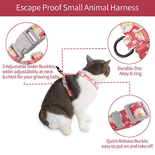 HAPPY HACHI Arnes Gato Pequeño con Correa Nylon Chaleco Perros Ajustable Prueba de Antiescape LiberacióN RáPida para Caminar, Entrenar(M, Rosa)